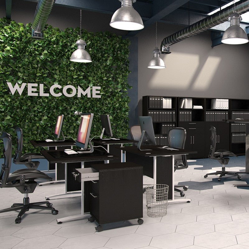 Prima Office Storage with 2 Drawers + 2 File Drawers in Black woodgrain